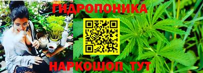 прущие крисы Будённовск