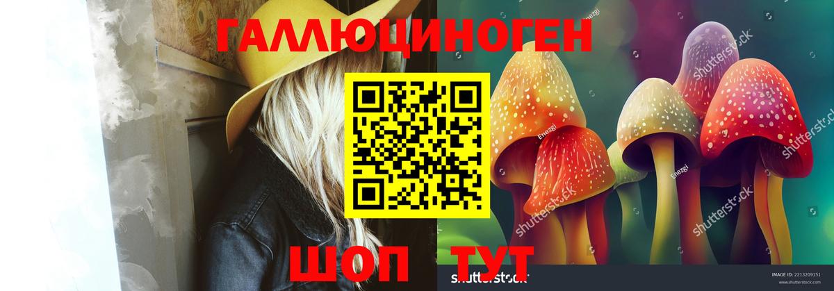 Галлюциногенные грибы Psilocybe  Галлюциногенные грибы Psilocybe  закладка  Вход с VPN  Мурино 